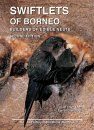 Swiftlets of Borneo