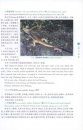 Amphibians and Reptiles of Gansu [English / Chinese]