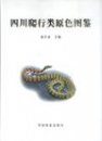 Coloured Atlas of Sichuan Reptiles [Chinese]