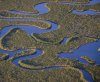 Everglades: America's Wetland
