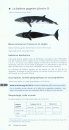 Cétacés du Monde: Systématique, Éthologie, Biologie, Écologie, Statut [Cetaceans of the World: Systematics, Ethology, Biology, Ecology, Status]