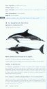 Cétacés du Monde: Systématique, Éthologie, Biologie, Écologie, Statut [Cetaceans of the World: Systematics, Ethology, Biology, Ecology, Status]