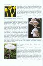 Mushrooms of Kerala