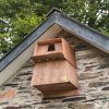 Barn Owl Nest Box