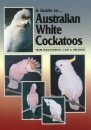 A Guide to Australian White Cockatoos