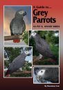 A Guide to Grey Parrots