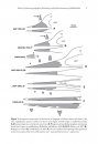 ZooKeys 432: Review of Taxonomy, Geographic Distribution, and Paleoenvironments of Azhdarchidae (Pterosauria)