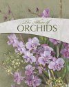 The Allure of Orchids