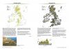 Atlas of British & Irish Bryophytes (2-Volume Set)