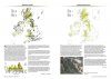 Atlas of British & Irish Bryophytes (2-Volume Set)