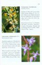 An Illustrated Guide to the Orchids of Bhutan