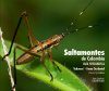 Saltamontes de Colombia - Guía Fotográfica, Volumen 1: Fauna Occidental (Chocó y Eje Cafetero) [Grasshoppers of Northwest South America - A Photo Guide, Volume 1: The Western Fauna (North Chocó, Central and Western Cordillera)]