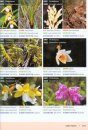 The Ultramafic Flora of Sabah