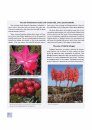 Fynbos: Ecology and Management