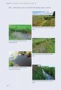 Sloten: Ecologisch Functioneren en Beheer [Ditches: Ecological Functioning and Management]