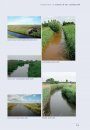 Sloten: Ecologisch Functioneren en Beheer [Ditches: Ecological Functioning and Management]