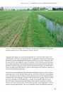 Sloten: Ecologisch Functioneren en Beheer [Ditches: Ecological Functioning and Management]