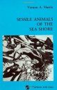 Sessile Animals of the Sea Shore