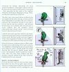 Understanding Parrots