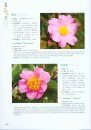 Camellias of China [English / Chinese]
