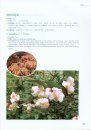 Camellias of China [English / Chinese]