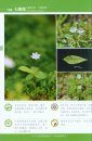 Colour Atlas of Common Plants from Daxing'Anling Mountain [Chinese]