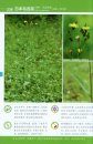 Colour Atlas of Common Plants from Daxing'Anling Mountain [Chinese]