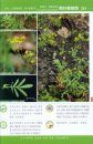Colour Atlas of Common Plants from Daxing'Anling Mountain [Chinese]