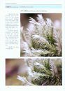 Atlas of Wetland Common Plants in Guizhou Province [Chinese]