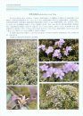 Atlas of Wetland Common Plants in Guizhou Province [Chinese]