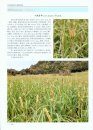 Atlas of Wetland Common Plants in Guizhou Province [Chinese]