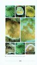 Handbook on Agariciids of Andaman and Nicobar Islands