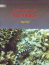 A Monograph of the Sea Snakes