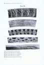 A Monograph of the Sea Snakes