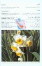 A Glance at the Wildflowers of Iranian Mountains [English / Farsi]