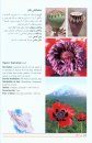 A Glance at the Wildflowers of Iranian Mountains [English / Farsi]
