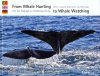 From Whale Hunting to Whale Watching / Von der Waljagd zur Walbeobachtung / Da Caça à Observação de Baleias