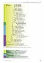 Species Diversity in Aspergillus, Penicillium and Talaromyces