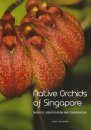 Native Orchids of Singapore