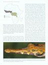 Biology and Evolution of Crocodylians