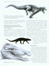 Biology and Evolution of Crocodylians