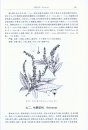 Woody Flora of Qingliangfeng (2-volume Set) [Chinese]