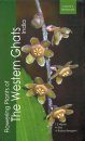 Flowering Plants of the Western Ghats India (2-Volume Set)