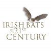 Irish Bats in the 21st Century
