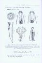 Fauna Sinica: Invertebrata, Volume 51: Nematoda: Rhabditida: Strongylata (II) [Chinese]