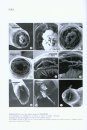 Fauna Sinica: Invertebrata, Volume 51: Nematoda: Rhabditida: Strongylata (II) [Chinese]