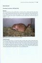 Rodents of Sub-Saharan Africa