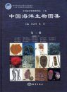 An Illustrated Guide to Species in China’s Seas, Volume 3 [Chinese]