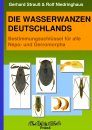 Die Wasserwanzen Deutschlands: Bestimmungsschlüssel für Alle Nepo- und Gerromorpha [The Water Bugs of Germany: Identification Key for all Nepo- and Gerromorpha]
