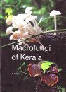 Macrofungi of Kerala